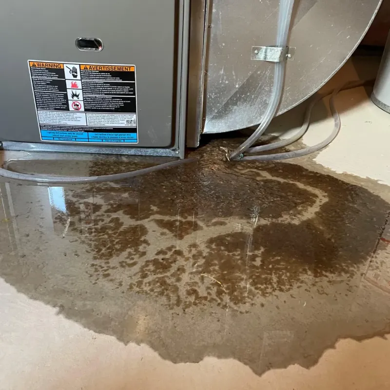 Appliance Leak Cleanup in Selmont-West Selmont, AL